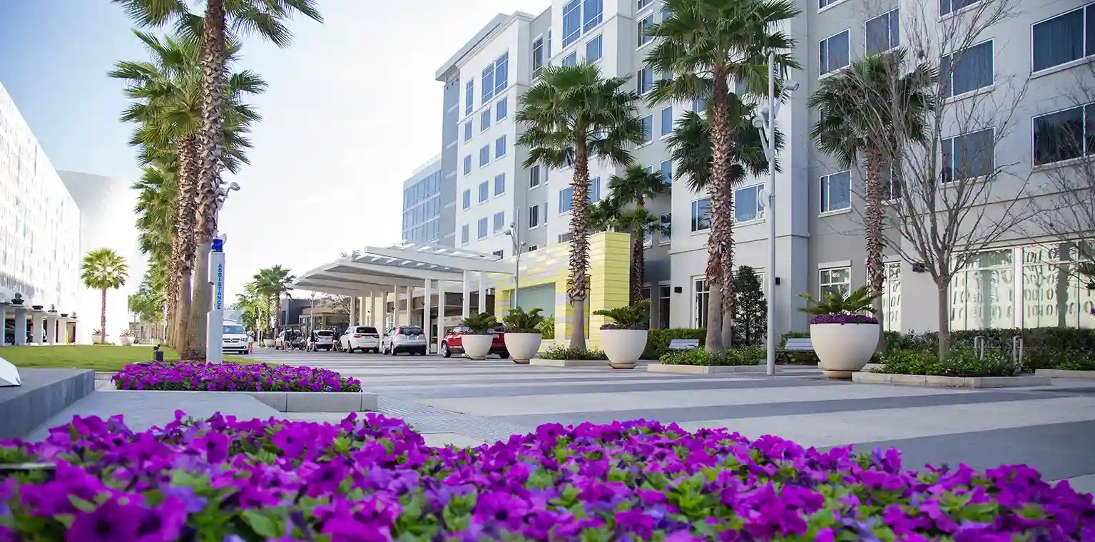 Lake Nona pressure washing service area