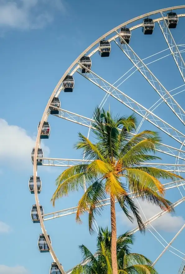 Orlando Eye at ICON Park