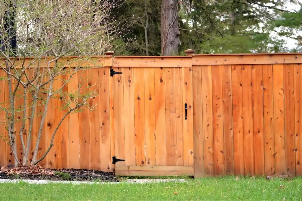 Fence cleaning service on residential exterior fencing